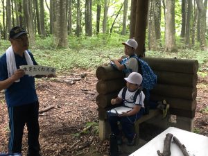 小学生によるブナ林散策風景